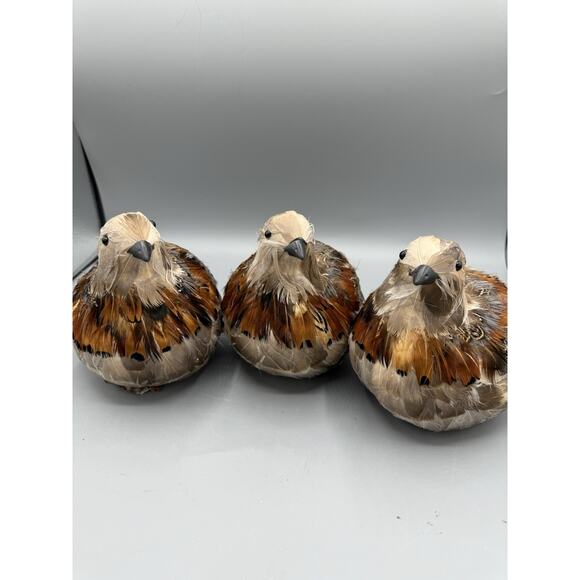 Set of 3 Feathered Decorative Birds 6” Realistic Craft Décor Artificial Bird Lot - Picture 1 of 7